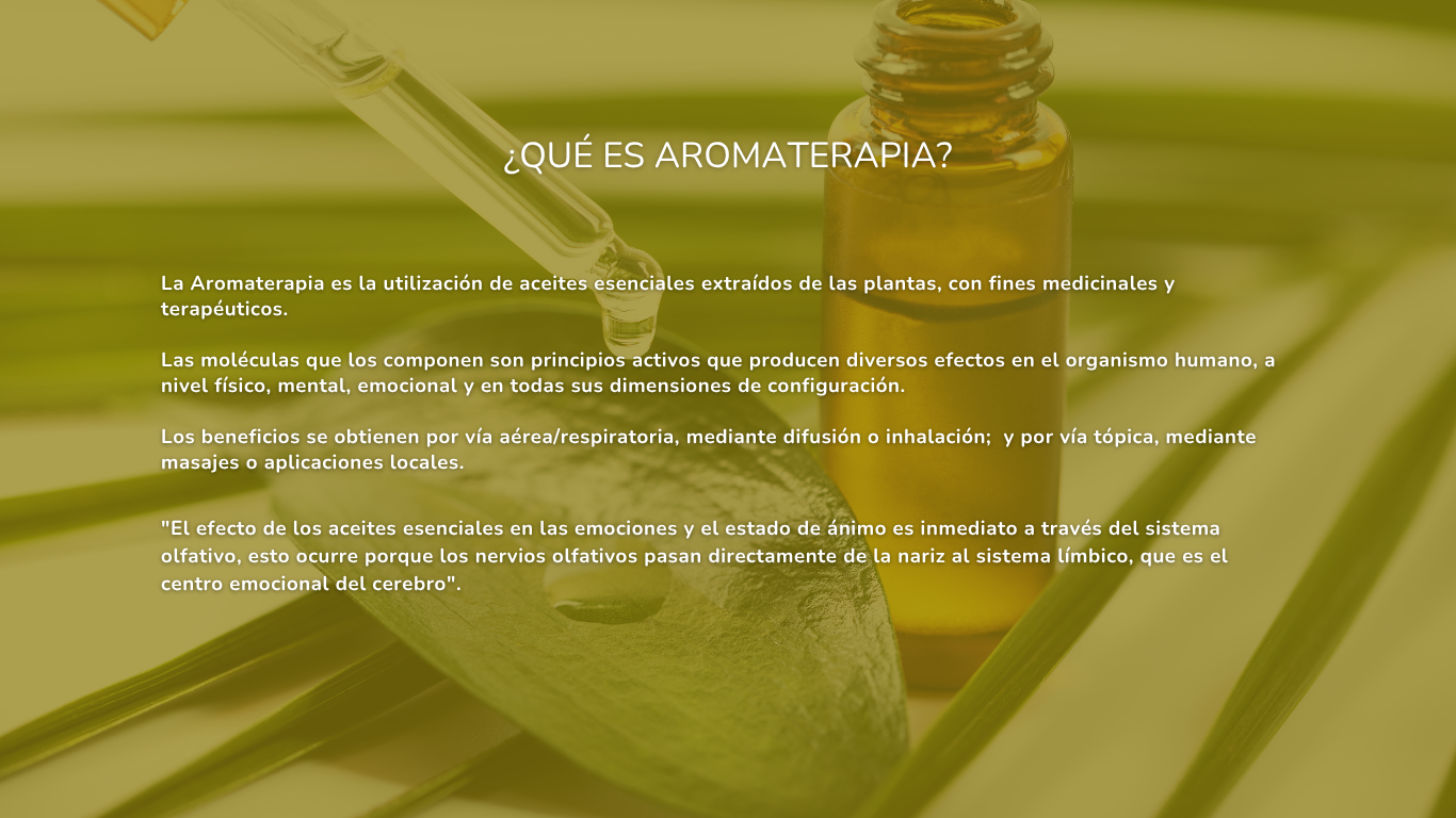 Botiquín Alquímico — 2