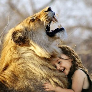 lion, roar, africa-3012515.jpg