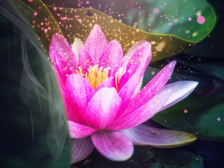 lotus, water lily, flower-3231910.jpg